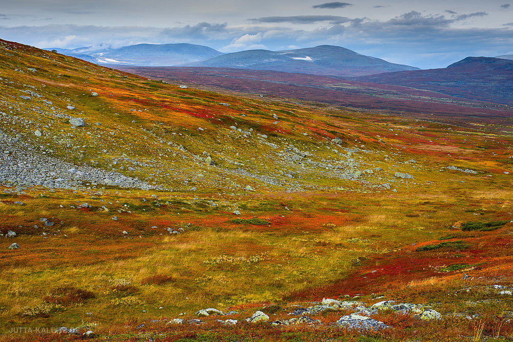 Unterwegs auf dem Kungsleden: Aktse-Sitojaure II