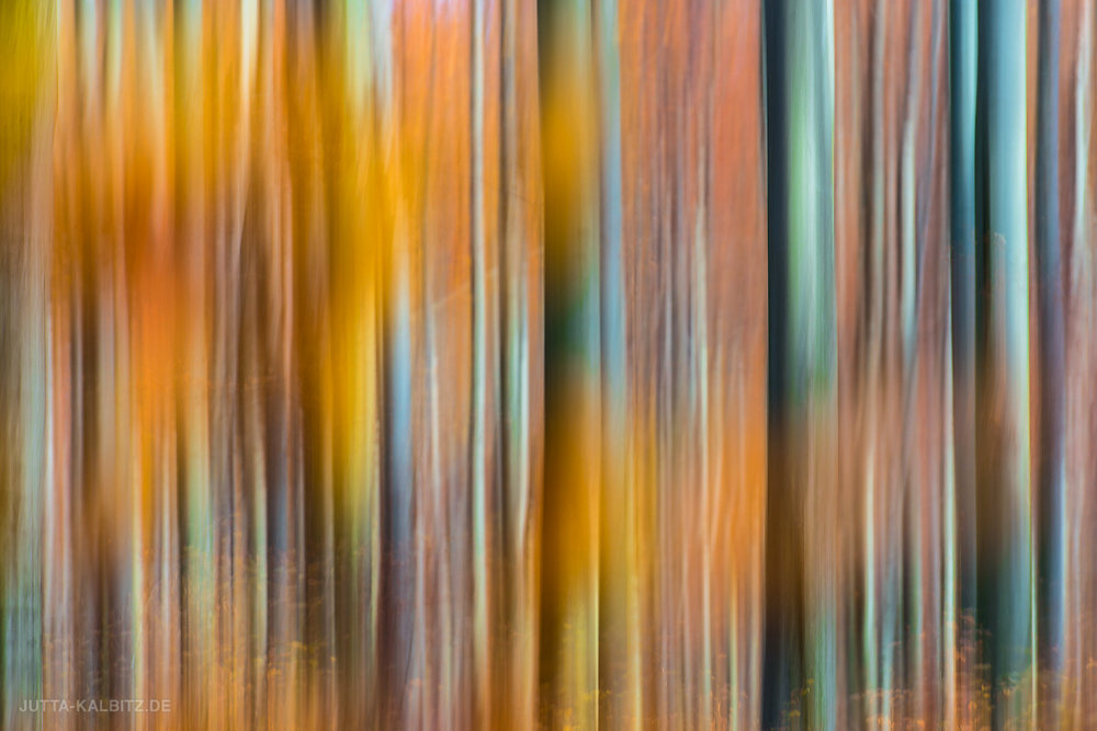 Herbstwald  (Wischtechnik)