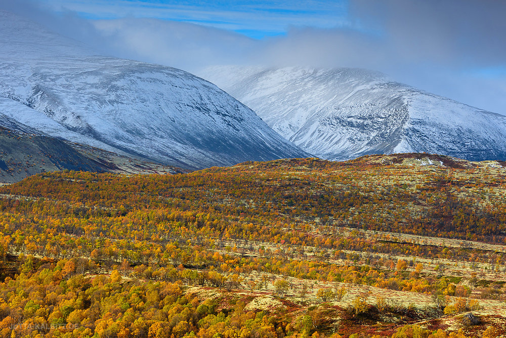 Rondane-10.JPG