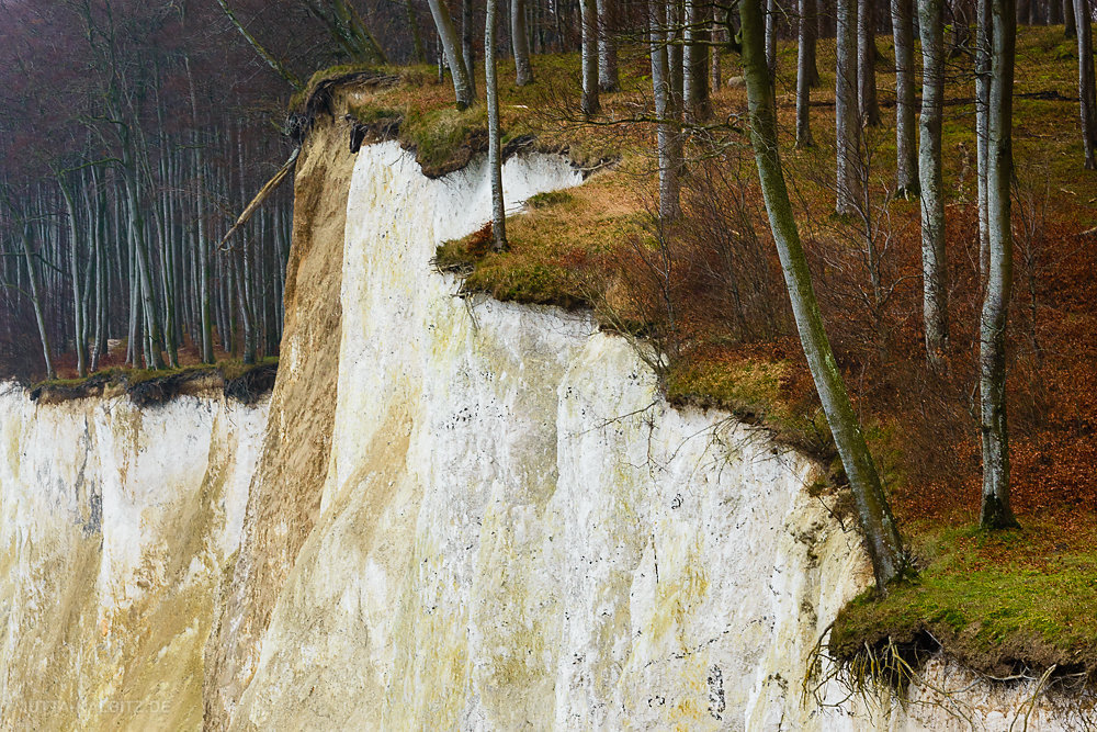 Dezember an der Kreideküste - Rügen